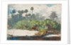 In a Florida Jungle by Winslow Homer