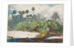 In a Florida Jungle by Winslow Homer