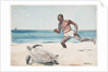 Rum Cay by Winslow Homer