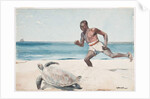 Rum Cay by Winslow Homer