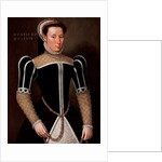 Portrait of a Woman, 1556 by Flemish School