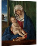 The Virgin and Child by Giovanni Bellini