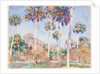 Palms, 1917 by John Singer Sargent