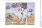 Palms, 1917 by John Singer Sargent