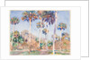 Palms, 1917 by John Singer Sargent