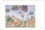 Palms, 1917 by John Singer Sargent
