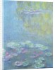 Waterlilies, 1906 by Claude Monet