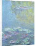 Waterlilies, 1906 by Claude Monet