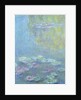 Waterlilies, 1906 by Claude Monet