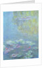 Waterlilies, 1906 by Claude Monet
