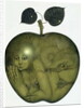 Apple and Eve and Serpent by Wayne Anderson