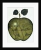 Apple and Eve and Serpent by Wayne Anderson