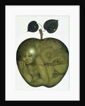 Apple and Eve and Serpent by Wayne Anderson