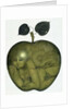 Apple and Eve and Serpent by Wayne Anderson