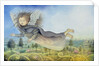 Flying Fairy Over Landscape by Wayne Anderson