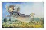 Flying Fairy Over Landscape by Wayne Anderson