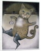 Puss in Boots doing a Somersault by Wayne Anderson