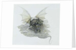 A Dragon that is Cloudlike, 1979 by Wayne Anderson