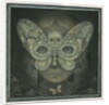 The Dark Web, 2016 by Wayne Anderson