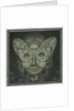 The Dark Web, 2016 by Wayne Anderson