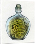 Bottled Dragon, 1991 by Wayne Anderson