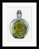 Bottled Dragon, 1991 by Wayne Anderson