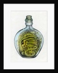 Bottled Dragon, 1991 by Wayne Anderson