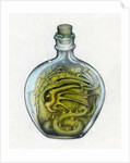 Bottled Dragon, 1991 by Wayne Anderson