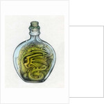 Bottled Dragon, 1991 by Wayne Anderson