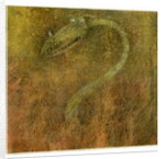 OUT OF THE FLAMES, 2000 by Wayne Anderson