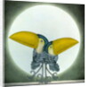 Toucan Can Can, 2010 by Wayne Anderson
