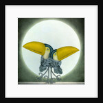 Toucan Can Can, 2010 by Wayne Anderson