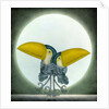 Toucan Can Can, 2010 by Wayne Anderson