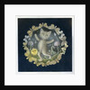 Tom Moggy and the Moon by Wayne Anderson
