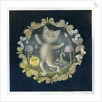 Tom Moggy and the Moon by Wayne Anderson