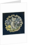 Tom Moggy and the Moon by Wayne Anderson