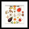 Fruit and Vegetables, 1988 by Wayne Anderson