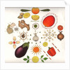 Fruit and Vegetables, 1988 by Wayne Anderson