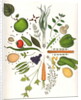 Assorted Foods, 1988 by Wayne Anderson