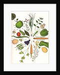 Assorted Foods, 1988 by Wayne Anderson