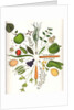 Assorted Foods, 1988 by Wayne Anderson