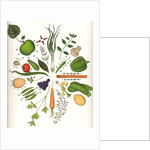 Assorted Foods, 1988 by Wayne Anderson