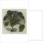 Miss Mint by Wayne Anderson