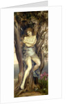 The Dryad, 1884-85 by Evelyn De Morgan
