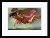 Night and Sleep, 1878 by Evelyn De Morgan
