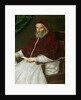 Portrait of Pope Gregory XIII by Lavinia Fontana