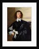 Sir Thomas Hanmer c.1638 by Anthony van Dyck