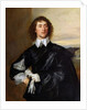 Sir Thomas Hanmer c.1638 by Anthony van Dyck