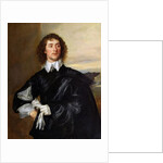 Sir Thomas Hanmer c.1638 by Anthony van Dyck