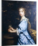 Isabella Dormer, aged 8, later Countess of Mountrath by Peter Lely